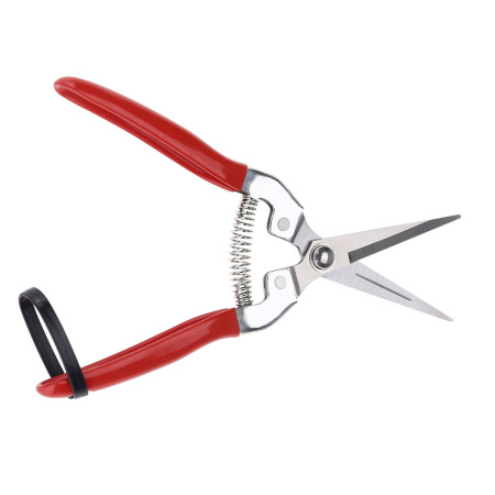 Premium Pruning Shears for Fruit Trees and Gardens - Stainless Steel